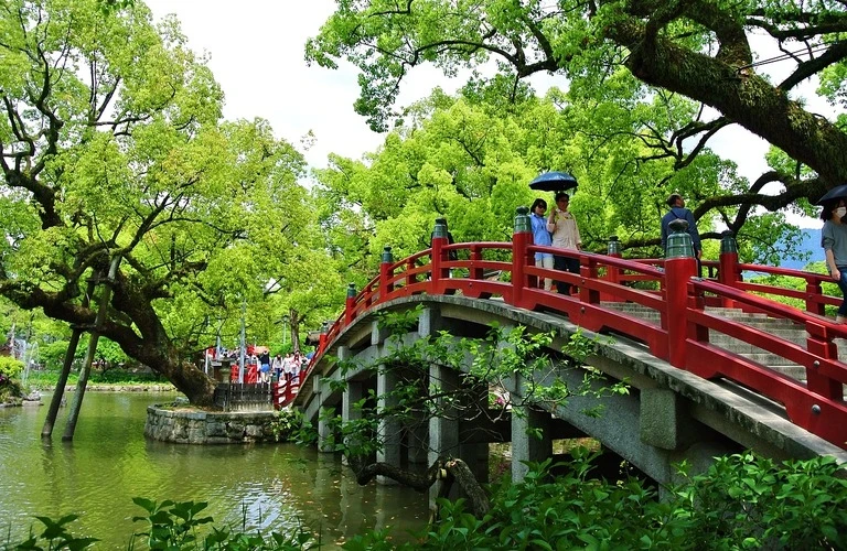 未来を拓く学びの旅へ！太宰府市での家庭教師と大学受験サポート